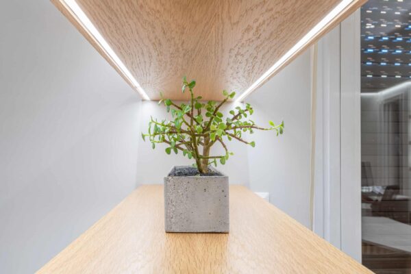 Notary Oak Bookcase - Image 4